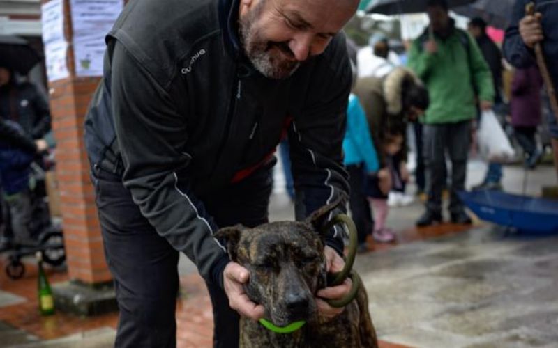 «De andares elegantes y llamativa», así es Noa, la ganadora del concurso canino de Güeñes
